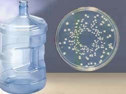 микробы в воде