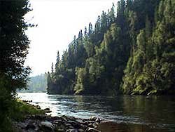 Бия река Алтайский край