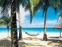 пляж гамак пальмы