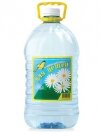 Черноголовская детская питьевая вода 5 л,